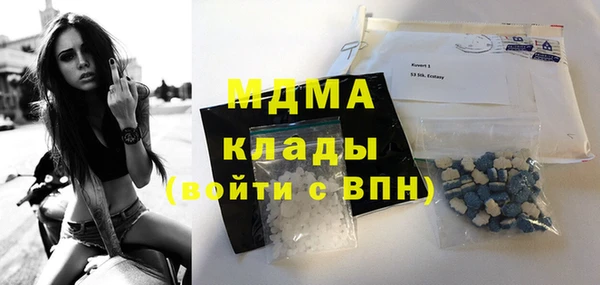шишки Верея
