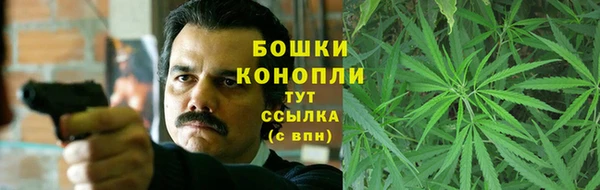 PSILOCYBIN Бородино