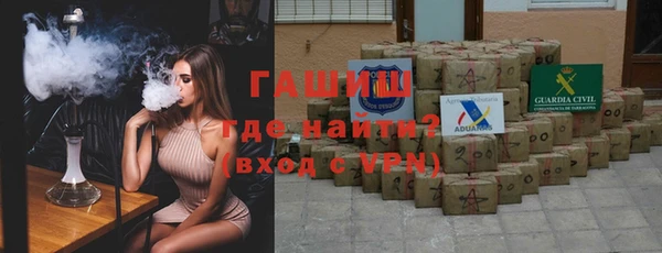 шишки Верея