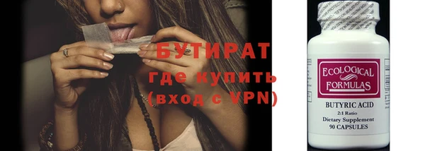 шишки Верея
