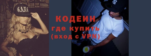 шишки Верхний Тагил