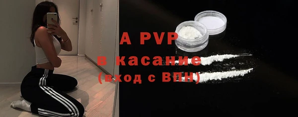 шишки Верхний Тагил