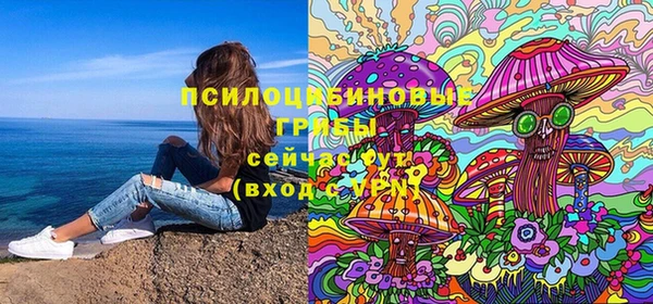 шишки Верея