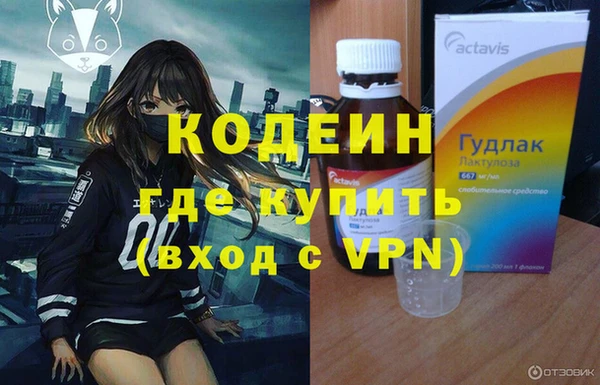 шишки Верхний Тагил