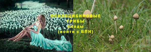 ГАЛЛЮЦИНОГЕННЫЕ ГРИБЫ Верхнеуральск