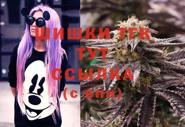 шишки Верхний Тагил