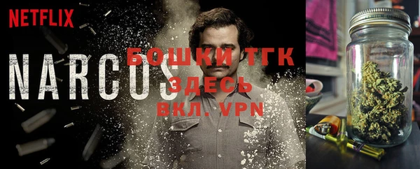 шишки Верхний Тагил
