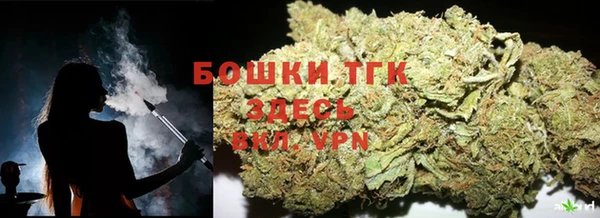 шишки Верхний Тагил
