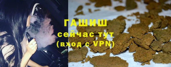 шишки Верея