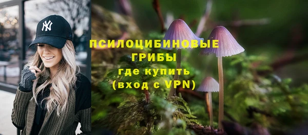 шишки Верея