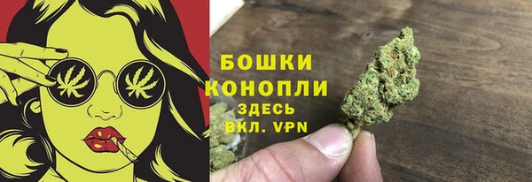 шишки Верхний Тагил
