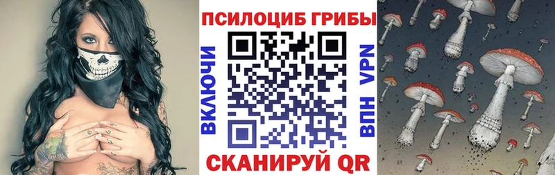 Псилоцибиновые грибы Psilocybe  Купить закладки  Коряжма 